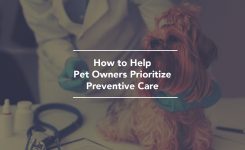How to Help Pet Owners Prioritize Preventive Care